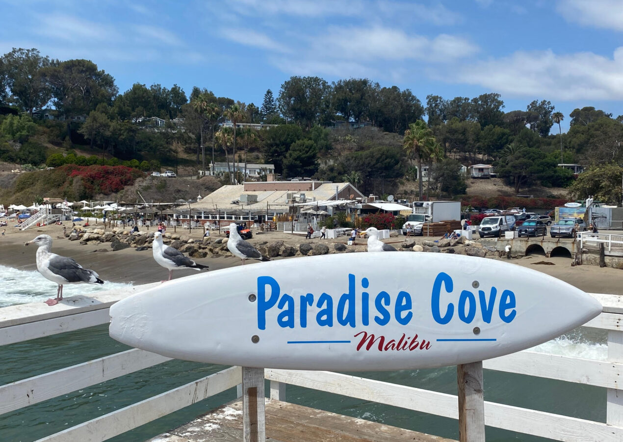 Just another day in Paradise…Cove.