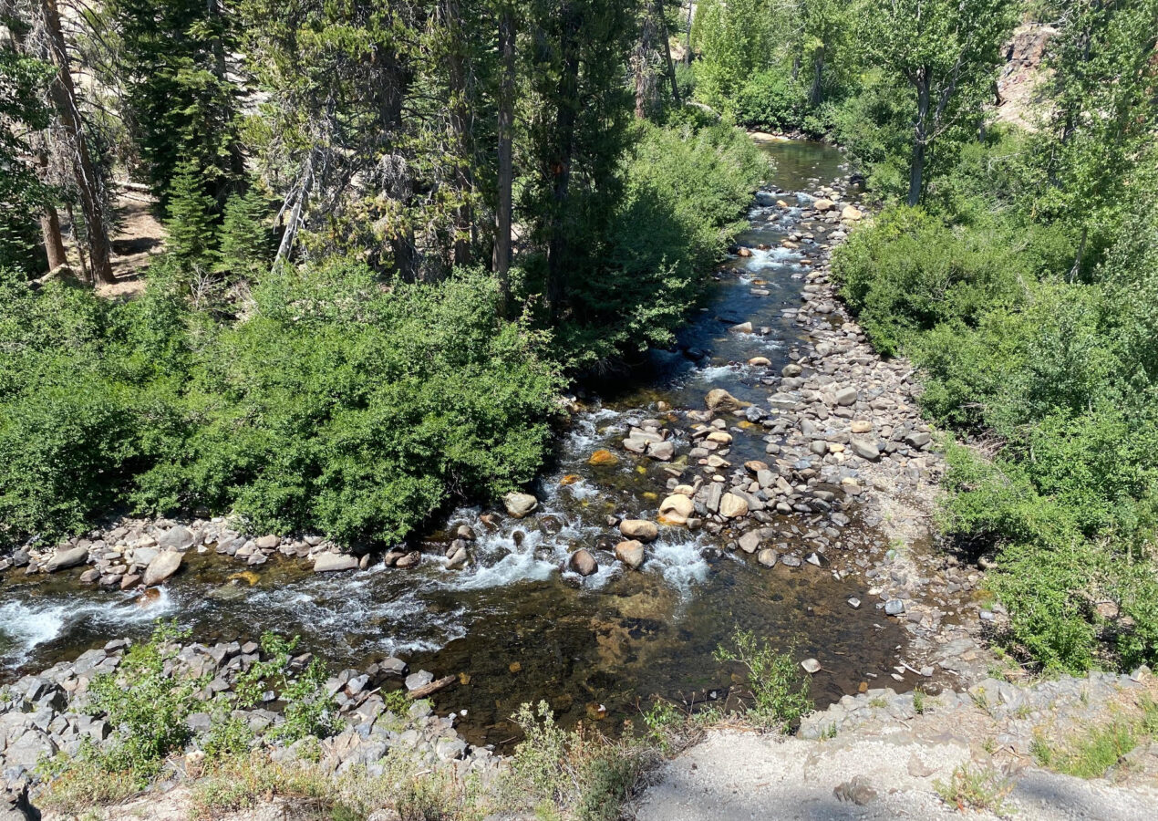 A Getaway to Reds Meadow.