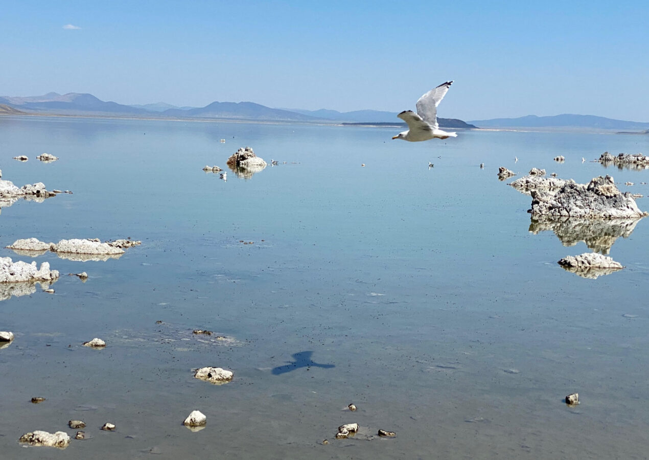 Mono Lake.